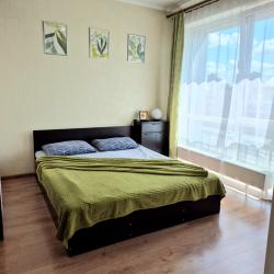 Фото Апартаменты на проспекте Ленина 32В