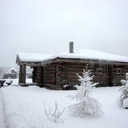 Большая изба 18