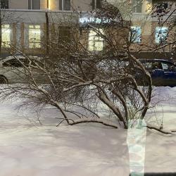 Кровать в общем номере