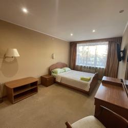 Номер эконом с 1 двуспальной кроватью