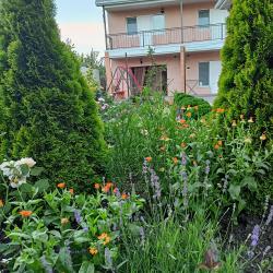 Фото Отель На Береговой