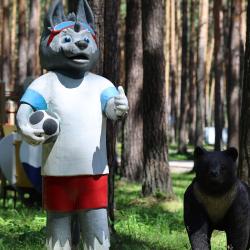 Фото Отель ДухЛес