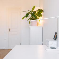 Фото Отель Sergeew Apartments на 4-й линии ВО 19