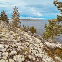 Фото Отель Гостевой комплекс Сосны