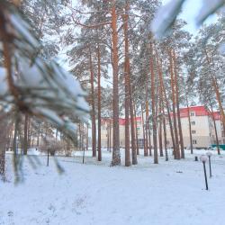 Амакс ЭкоПарк Екатеринбург (бывш. Остров Сокровищ) — 2991fc4b3afe542334c6fa55511ce979