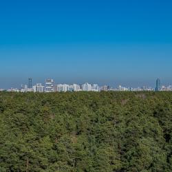 1-комнатные апартаменты стандарт