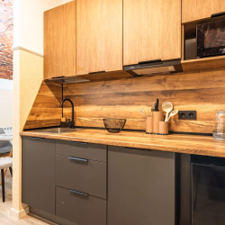 Фото Апартаменты Floris Apartments (Флорис Апартменс) у Невского