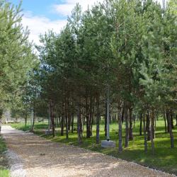 Фото Парк-отель Заповедное