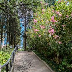 Фото Отель Актер