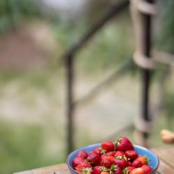 Коттедж стандарт Слизерин