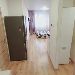 Фото Апартаменты на улице Новосёлов 103к1