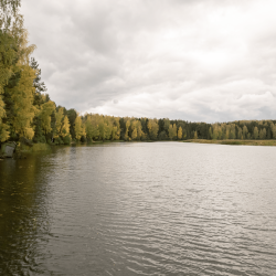 Фото Отель Мера