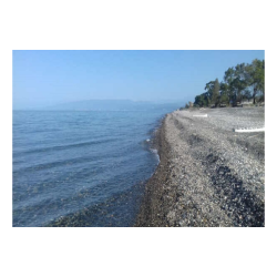 Фото Отель Alaku Hotel (Алаку)