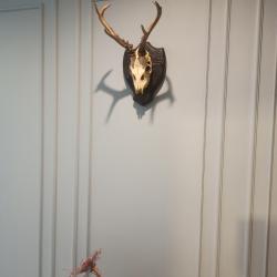 Фото Апартаменты на проспекте Дзержинского 14/2