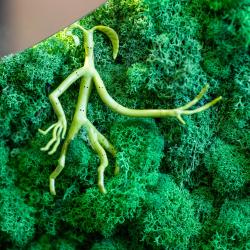 Коттедж стандарт