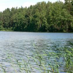 Фото Отель Русская Дача