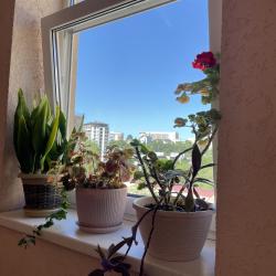 Фото Отель Гостевой дом на Мамайке