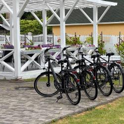 Фото Отель Танзания