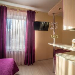 Фото Отель Теремок (Московский район)