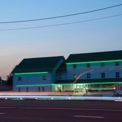 Фото Отель Гостевой дом Зеленый