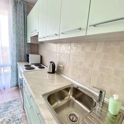 Фото Отель Rental Family Rooms (Рентал Фэмили) на Московском проспекте 215