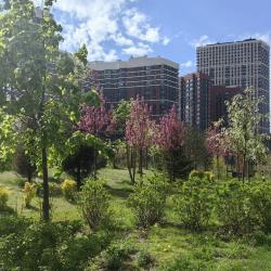 Фото Апартаменты на Шелепихинской набережной, 34к5