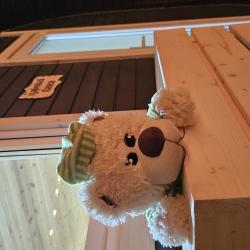 Фото Отель Терраса