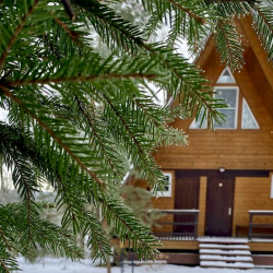 2-комнатный коттедж стандарт