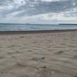 Фото Отель Riviera (Ривьера)