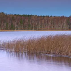 Фото Отель White Resort (Вайт Резорт) Поляны - Карелия
