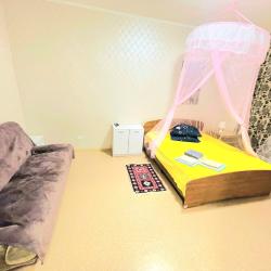 Фото Апартаменты на улице Некрасова 66