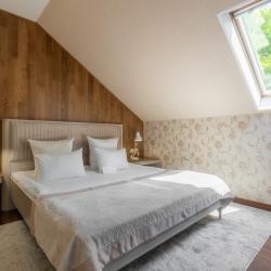 2-комнатный номер люкс с 1 двуспальной кроватью (мансарда) № 5