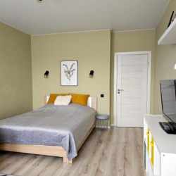 1-комнатные апартаменты студия