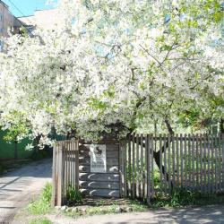 Фото Отель Ирис