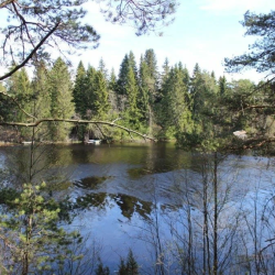 Фото Отель Алавойне