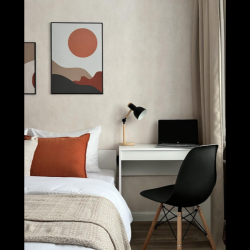 1-комнатные апартаменты люкс (мансарда)