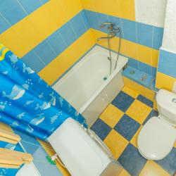 Фото Отель Новиков Дворик на Разина