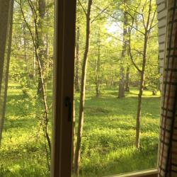 Фото Отель Ёжик