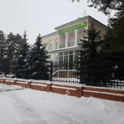 Фото Отель Лесная поляна