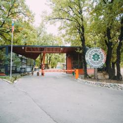 Фото Отель Дубровский парк-клуб