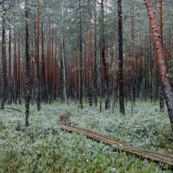 Фото Отель Зеленая Тропа Деревня