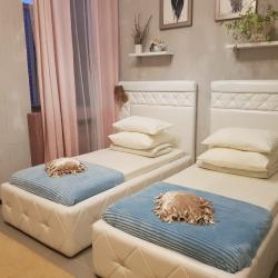 Фото Отель Blackberry (Блэкберри)