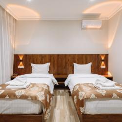 Номер Премиум с 2 односпальными кроватями