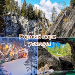 Фото Отель Гостевой комплекс Сосны