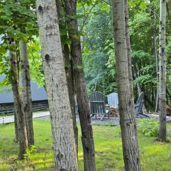 Фото Отель Загорские Дубки