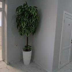 Номер стандарт двухместный