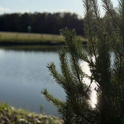 Коттедж стандарт с 2 односпальными кроватями