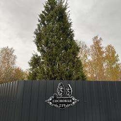 Фото Отель Уютный дом на Cоcнoвой 219