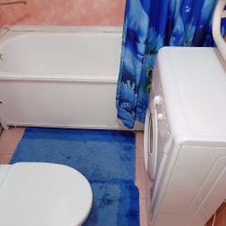 Фото Апартаменты на улице Володарского 50