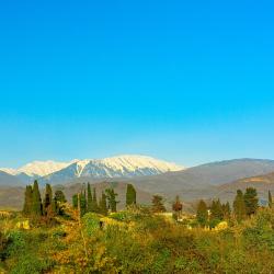 Фото Отель Platan (Платан)